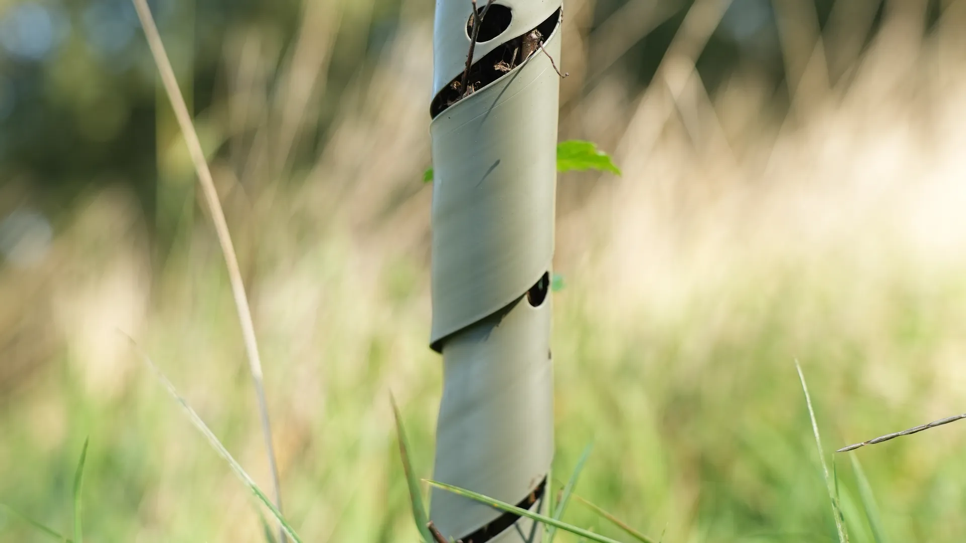 Onze TreeProtector is een spiraalvormige boomstambeschermer die bomen beschermt tegen wildvraat, knaagdieren, chemicaliën en fel zonlicht. Zonder deze bescherming kan tot wel 35% van de jonge aanplant verloren gaan!