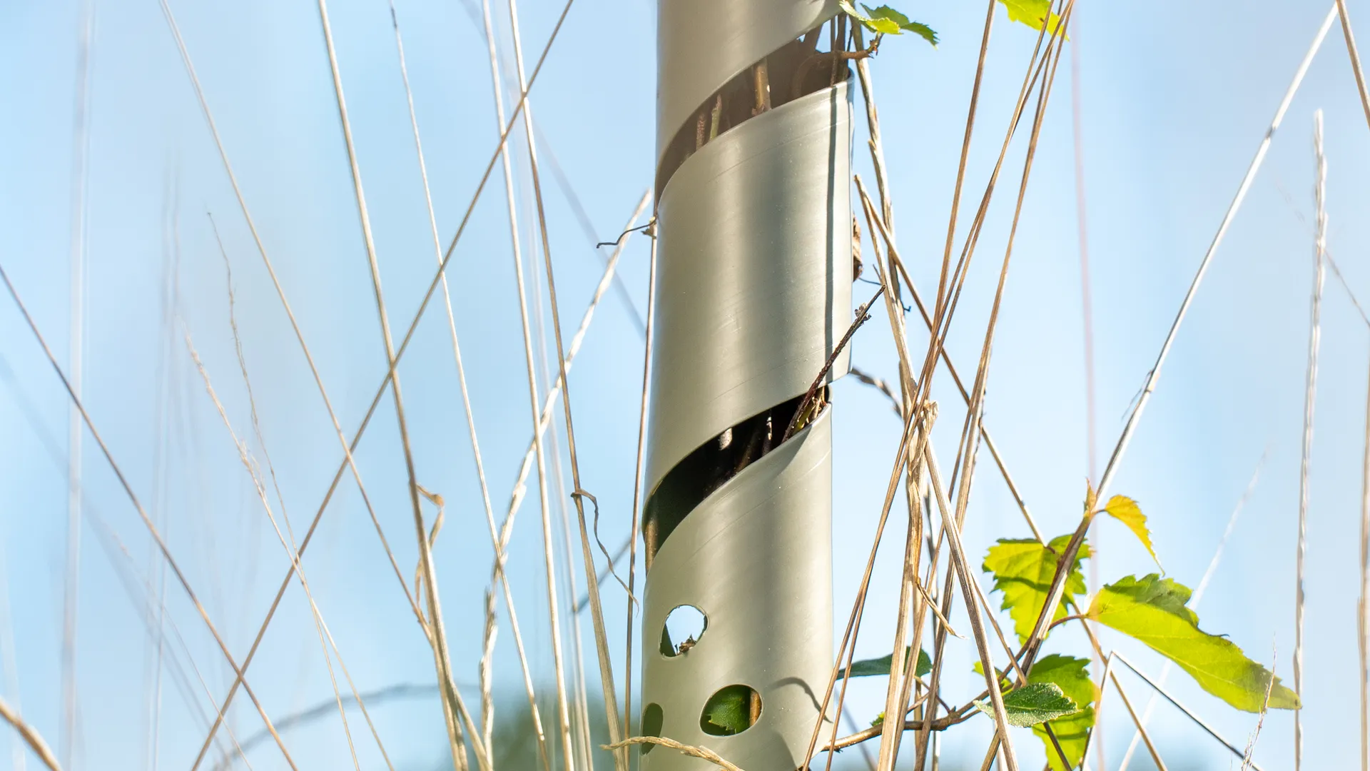 Onze TreeProtector is een spiraalvormige boomstambeschermer die bomen beschermt tegen wildvraat, knaagdieren, chemicaliën en fel zonlicht. Zonder deze bescherming kan tot wel 35% van de jonge aanplant verloren gaan!