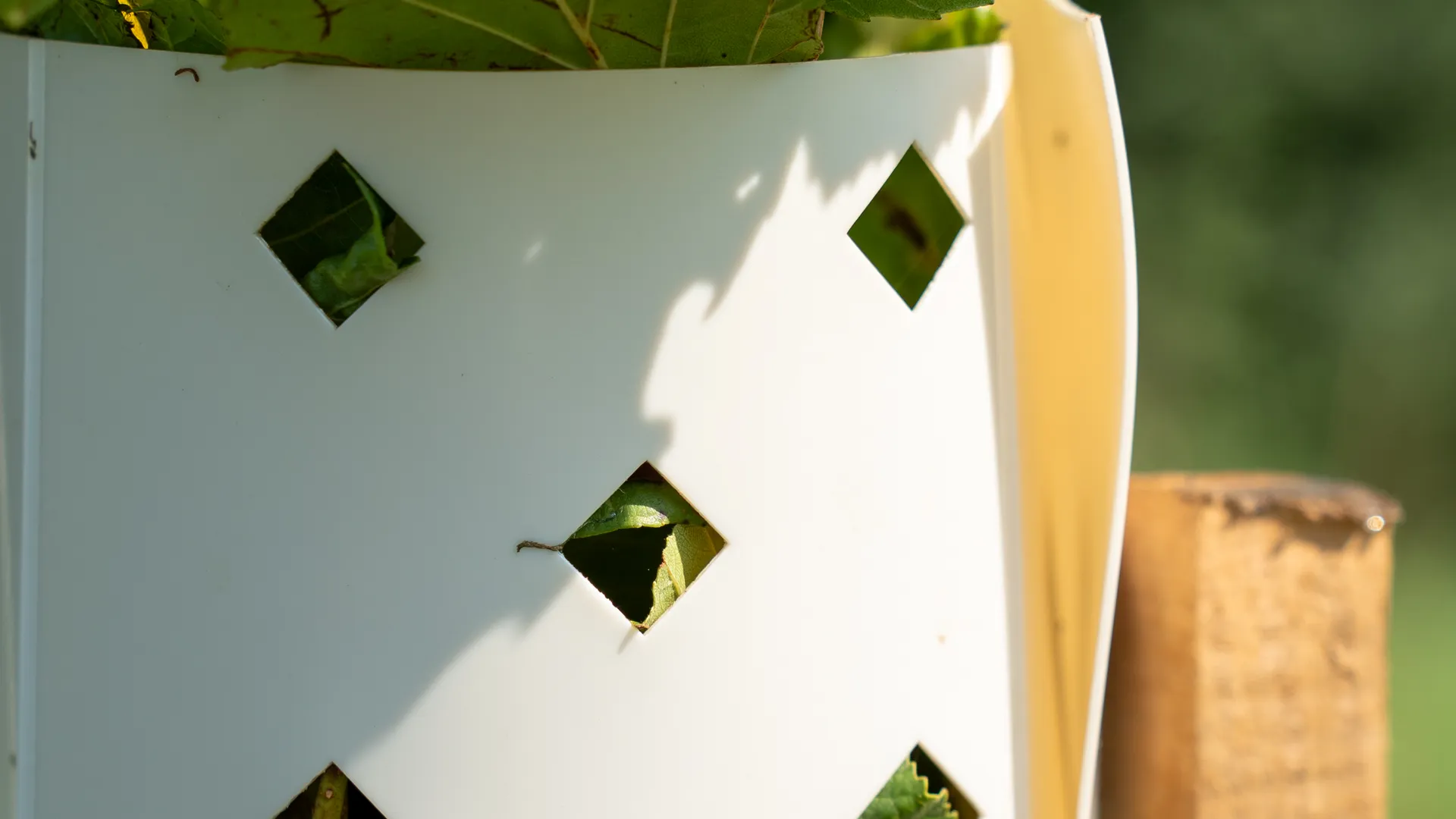Close-up van een kunststof boombeschermer met diamantvormige openingen, waar groene bladeren van een jonge plant uitsteken; op de achtergrond een houten steunpaal.